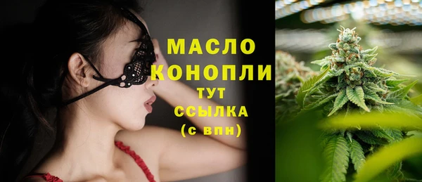 молекула духа Каменка