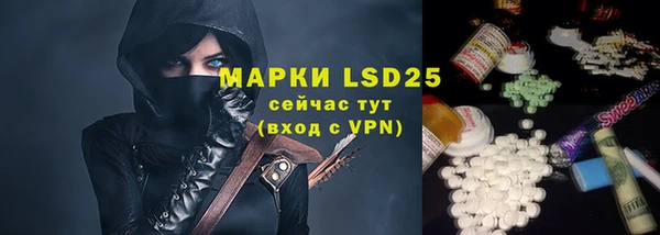 мдпв Каменногорск