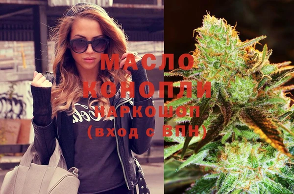 молекула духа Каменка