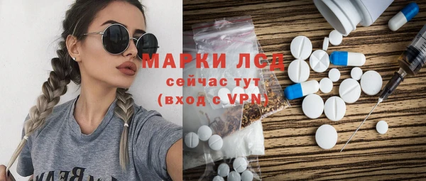 мдпв Каменногорск