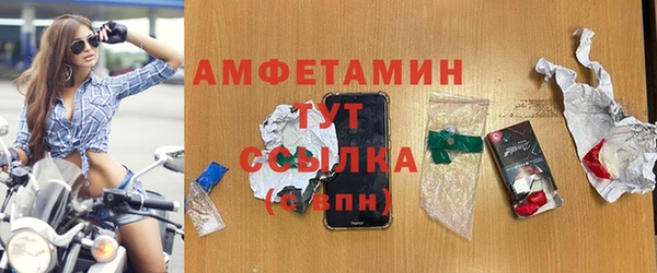 молекула духа Каменка