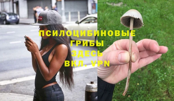 мдпв Каменногорск