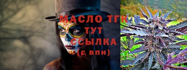 мдпв Каменногорск