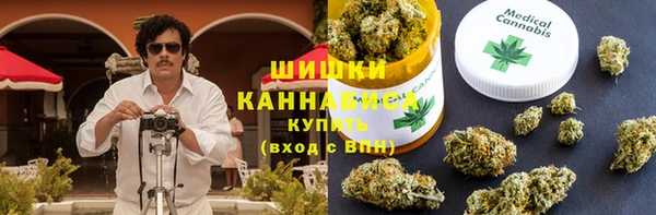 молекула духа Каменка